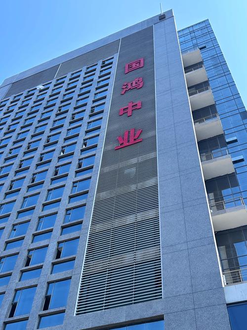 国鸿中业控股集团 以人工智能基础软件开发驱动未来产业升级
